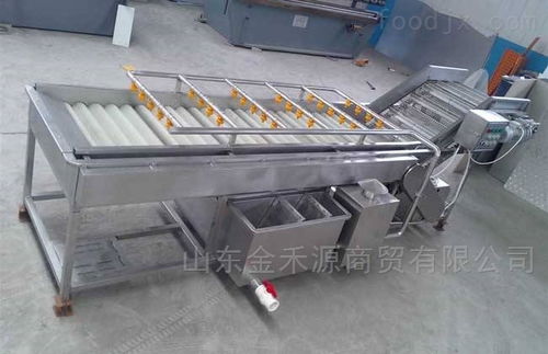 秋意正濃公司 引領(lǐng)產(chǎn)業(yè)革新，新型果蔬清洗風(fēng)干流水線與先進(jìn)汽輪機(jī)同步上市